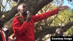 Nelson Chamisa At MDC Alliance Protest Harare