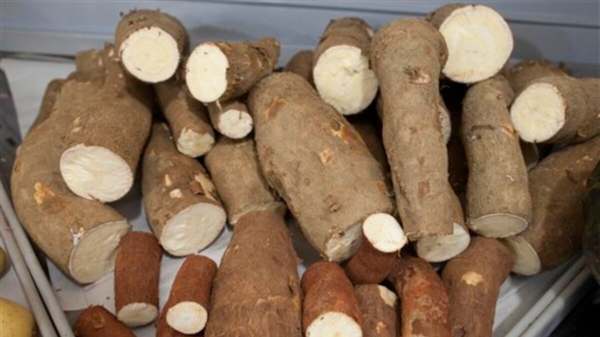 La RDC veut exporter plusieurs produits agricoles pour diversifier son ...