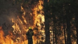 Ecologistas en Bolivia lamentan la lentitud del gobierno en actuar frente a los incendios
