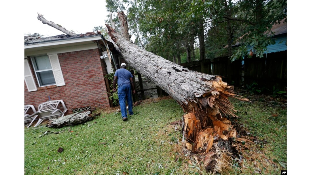 Lawrence Carriere checks on the home of his neighbor after a tree fell on it and crashed through the roof, in Biloxi, Miss., in the aftermath of Hurricane Nate, Oct. 8, 2017.