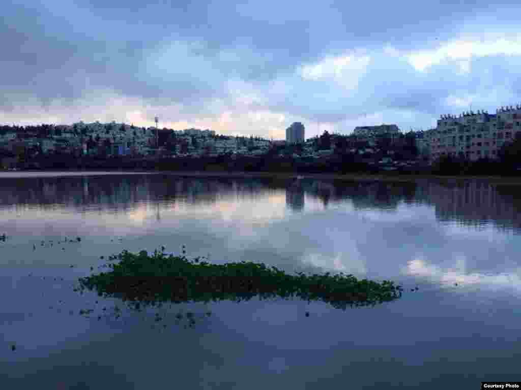 Lake at Gazelle Valley Park, April 8, 2015. (Amir Balaban)