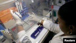 A health worker in Haiti tests blood samples. (file) 