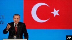 Ahead of the G-20 summit in Antalya, Turkish President Recep Tayyip Erdogan speaks to reporters in Istanbul, Nov. 13, 2015. 