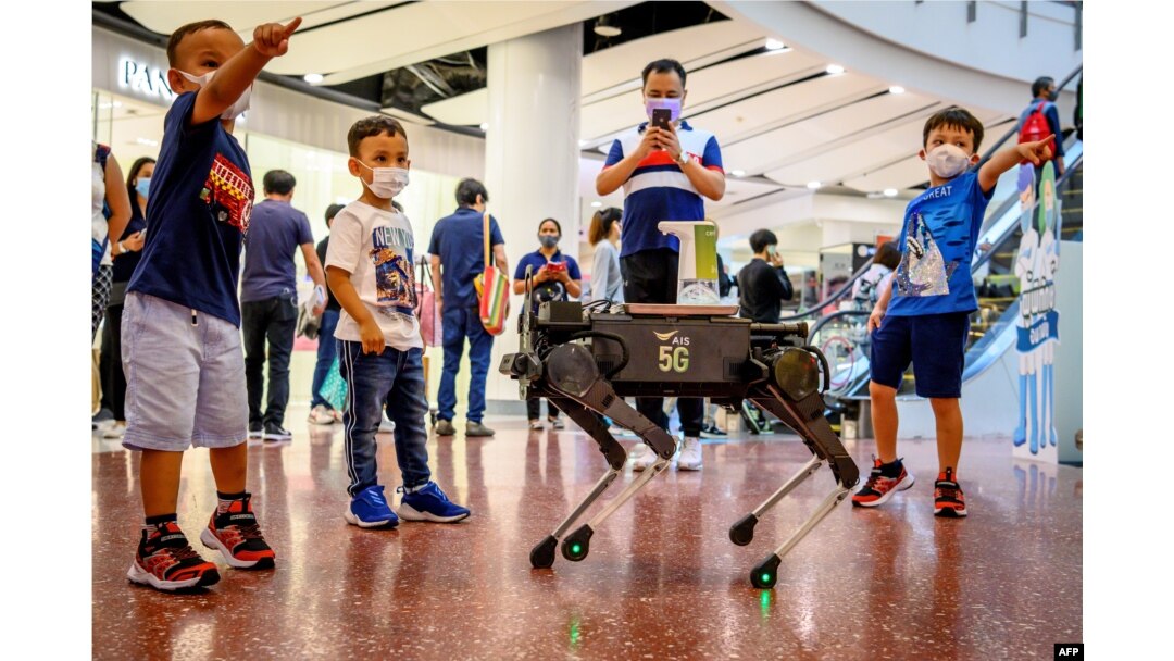 Robot anjing di Bangkok sebagai ilustrasi. (Foto: AFP)