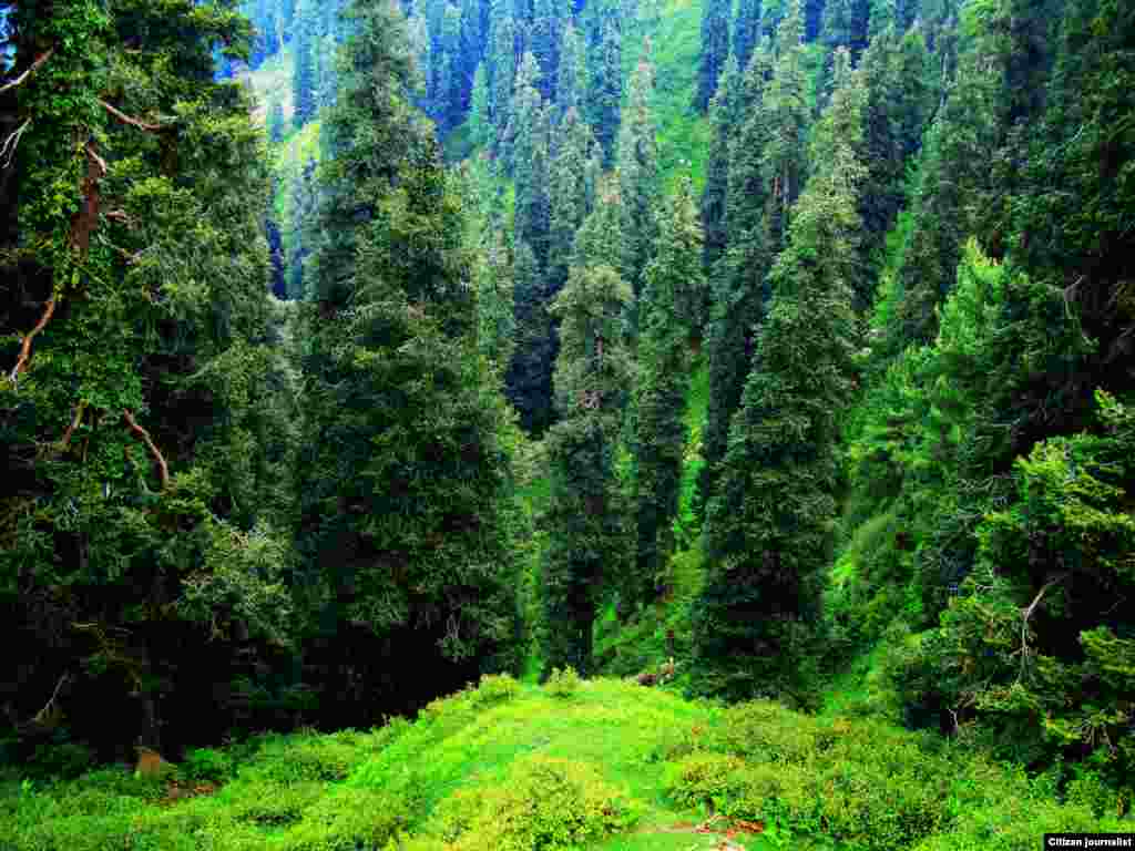 کشمیر کا ضلع سدھنوتی، خوبصورت وادیوں کے مناظر