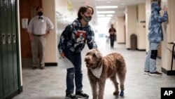 A student pets Wilson, a therapy dog, in a hallway at French Middle School, Wednesday, Nov. 3, 2021, in Topeka, Kansas. The dog is one of the tools designed to relieve stresses faced by students as they return to classrooms amid the ongoing pandemic. 
