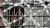 بھارت میں قید پاکستانی شہری کی ضمانت منظور
