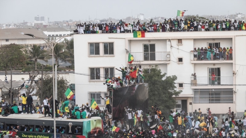 Les Sénégalais accueillent les champions d'Afrique en grande pompe