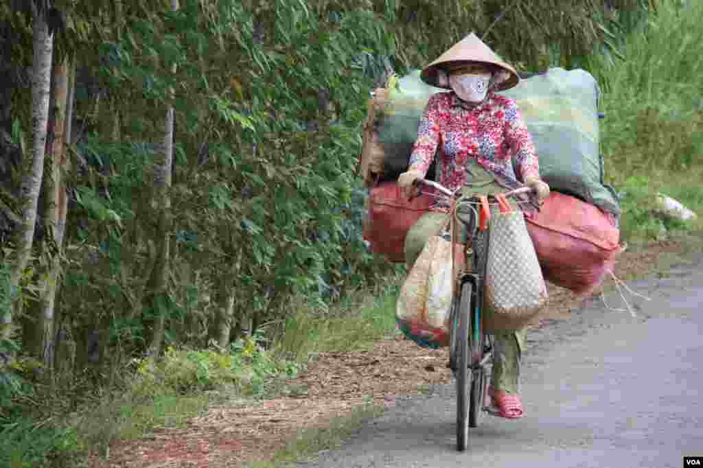 A woman carries a heavy load on her bicycle, Tien Giang, Vietnam, September 14, 2012. (D. Schearf/VOA)
