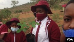 Bulawayo City Council Tree Planting Day