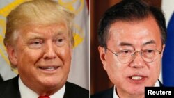 도널드 트럼프 미국 대통령과 문재인 한국 대통령.