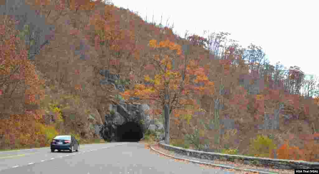 Shenandoah National Park 