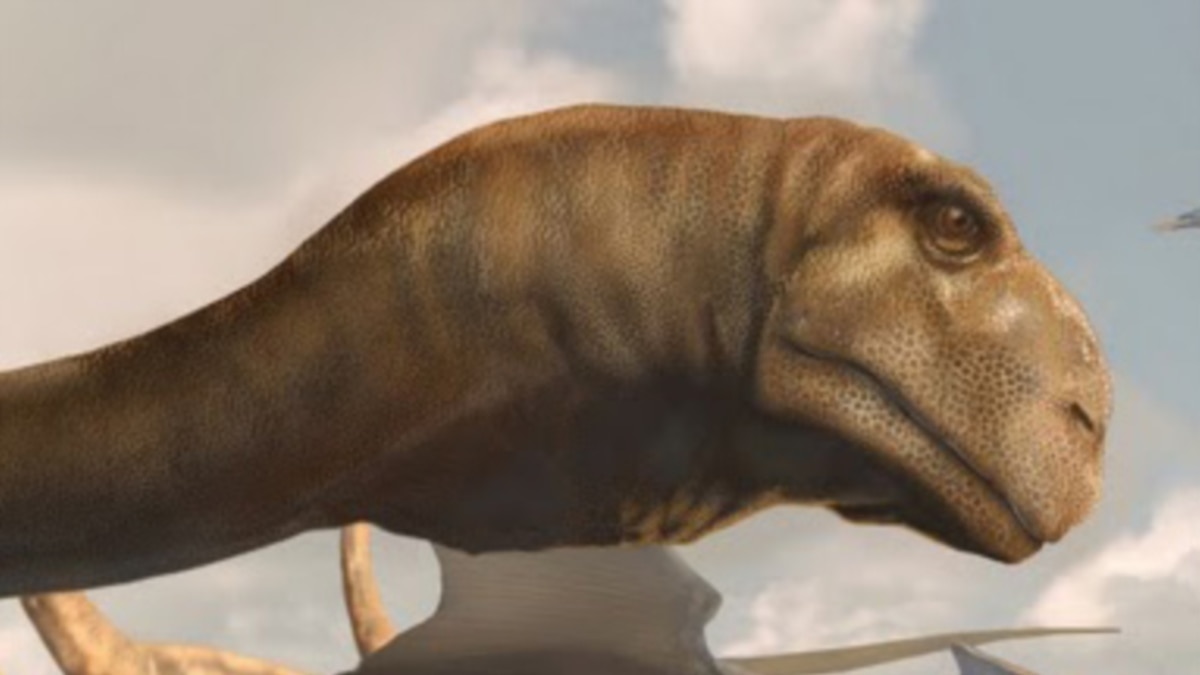 Descoberta nova espécie de dinossauro com braços minúsculos como o