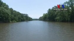 Washington'da Balıkçılık ve Teknecilik Haftası