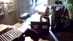 Вести од САД во минута