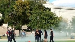 Man on fire on the Mall