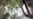 14 Bodies Found in Mass Grave in Mexican Resort of Los Cabos