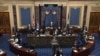 视频截图显示众议院弹劾经理人拉斯金众议员在参议院举行的针对前总统特朗普的弹劾审判期间发言。(2021年2月10日)