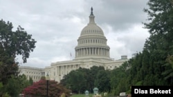 The Capitol building is pictured in Washington, D.C. (Diaa Bekheet/VOA)