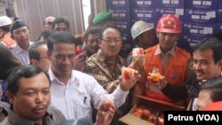 Menteri Pertanian Amran Sulaiman (baju putih) bersama Komisi IV DPR RI meninjau kontainer buah asal China yang tidak sesuai dokumen dan berpenyakit di Balai Besar Karantina Pertanian Surabaya, 4 Maret 2016 (Foto: VOA/Petrus)