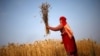 FAO: Asia Pacific Reaches Goal, But Millions Still Face Chronic Hunger