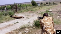 A ranger from the Kenya Wildlife Service shoots dead a male lion that had strayed from the Nairobi National Park, in Kajiado, Kenya, March 30, 2016. 