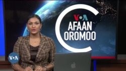 Tamsaasa Guyaadhaa Guyyaa