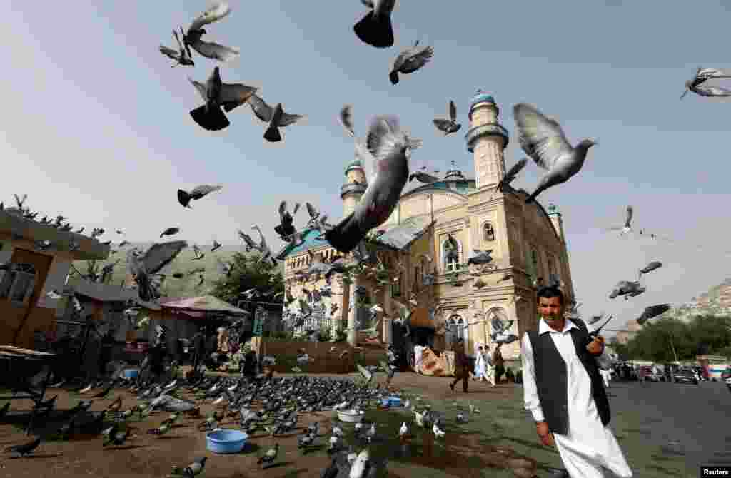 Burung-burung merpati terbang di luar Masjid Shah-e Doh Shamshira saat orang-orang bergegas untuk salat Ied untuk merayakan Idulfitri di Kabul, Afghanistan, 15 Juni 2018. (Foto: Reuters)