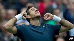 Petenis Argentina Juan Martin del Potro mengalahkan Daniel Brands 6-4, 6-2 hari Kamis (28/2), (foto: Dok).