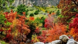 آمریکا از لنز دوربین - عملیات بزرگترین ناو هواپیمابر جهان در دریای کارائیب