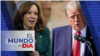 Harris y Trump se enfocan en electorados específicos