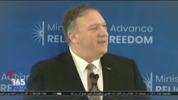 اخبار شامگاهی