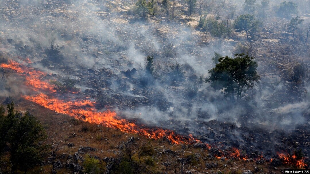 Dim se diže iznad drveća koje je izgorelo u šumskom požaru na planini u blizini Podgorice (AP Photo/Risto Božović)