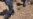 16x9 Image