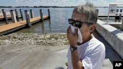 Alex Kuizon covers his face as he stands near dead fish at a boat ramp in Bradenton Beach, Fla., Aug. 6, 2018. 
