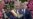 New Colombian President Promises 'Corrections' to Peace Deal