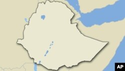 አዲሱ የደቡብ ፕሬዚዳንት