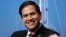 Republican presidential candidate Sen. Marco Rubio, R-Fla. during a campaign event at Saint Anselm College in Manchester, New Hampshire, Nov. 4, 2015. 