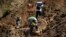 Residents carry food supplies along a landslide area near the site where dozens of victims are believed to have been buried in Itogon, Benguet province, northern Philippines, Sept. 19, 2018.