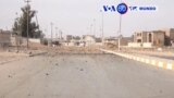 Manchetes Mundo 17 Novembro: Iraque conquista último reduto ao Estado Islâmico