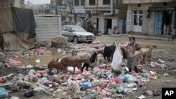 也门战乱持续多年民不聊生