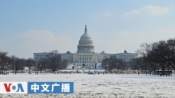 美国之音中文广播 (2026年2月12日)