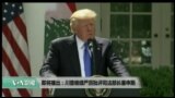 美国观察 2017年7月27日
