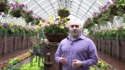 Բարի Լույս: Արման Թարջիմանյան՝ Փիթսբուրգի "Փիփս" բուսաբանական այգին