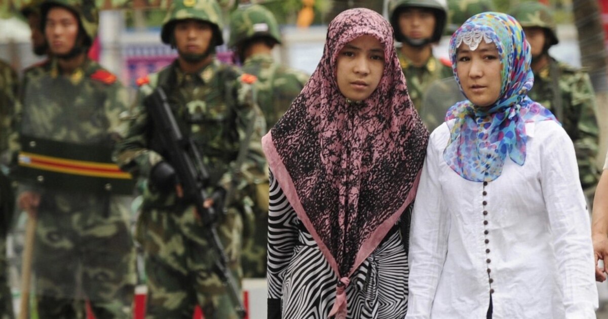 Egilgan va külotsiz (video)