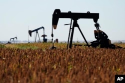 Pumpjacks run  successful  a milo field, Monday, Sept. 30, 2024, adjacent   Hays, Kan.