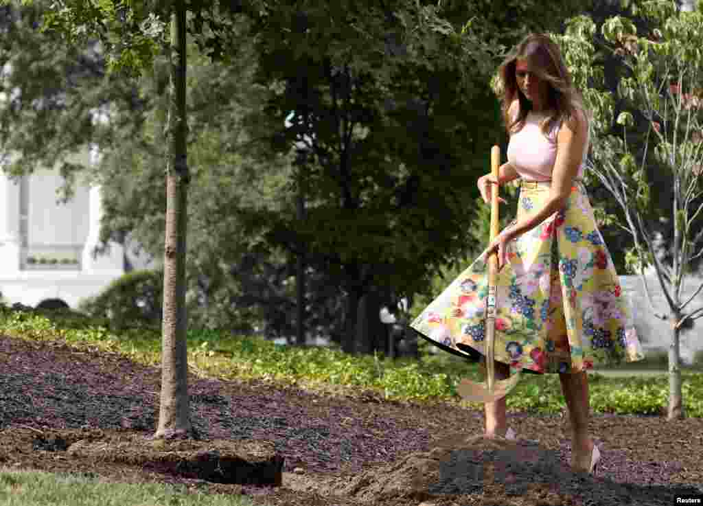 ملانیا ترامپ بانوی اول، در مراسم کاشت درخت در حیاط جنوبی کاخ سفید.