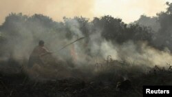 Warga berusaha memadamkan api yang membakar lahan gambut di hutan di Pekanbaru, Riau. (Foto: Dok)