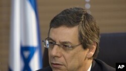 Israel's Deputy Foreign Minister Danny Ayalon speaks during an interview with Reuters in Jerusalem. (File Photo)