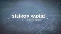 Silikon Vadisi - 8 dekabr, 2018